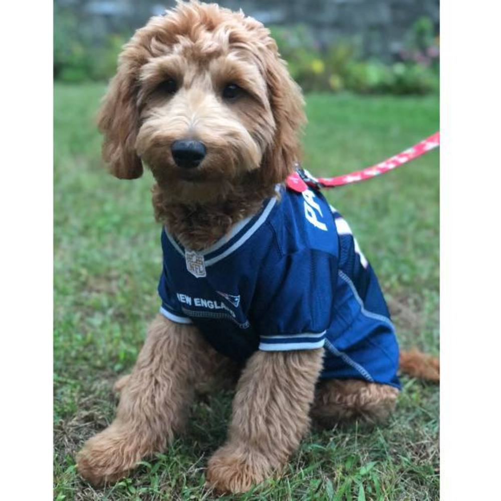 Meet your Posher, Davine